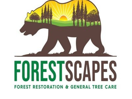 ForestScapes