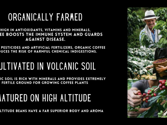 Benefits of organically farmed coffee in volcanic soil and high altitude