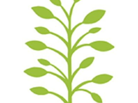 Canonbury Clinic of Osteopathy