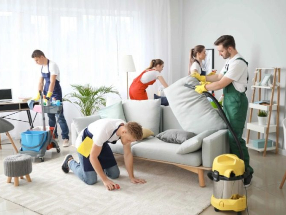 Cleanify | Trusted Home & Commercial Cleaning Services in Tauranga