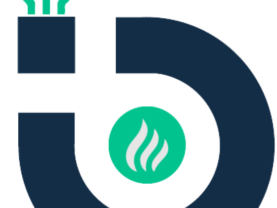 BitBlazeTech | Web Development & Digital Marketing Agency