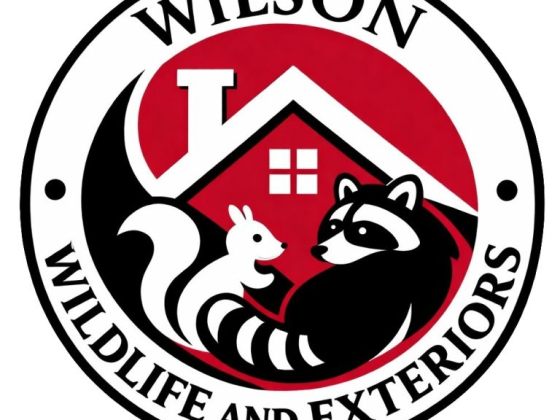 Wilson Wildlife & Exteriors