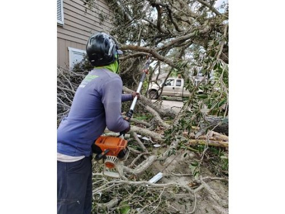 Treasure Coast Tree & Land Services
