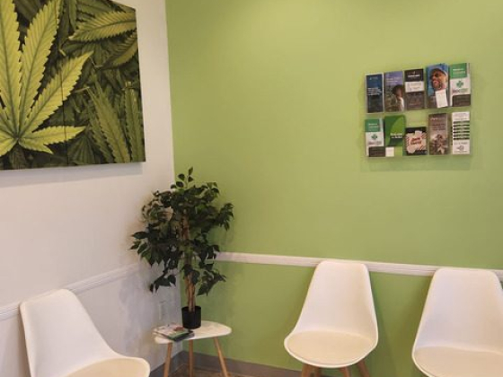 Chairs and brochures in cannabis-themed waiting area