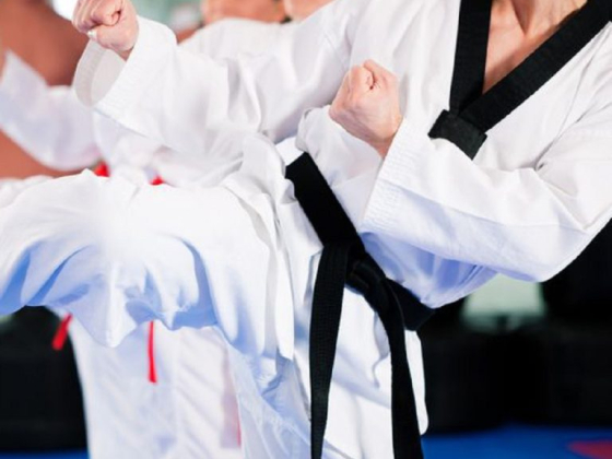 Martial artists performing synchronized kick techniques