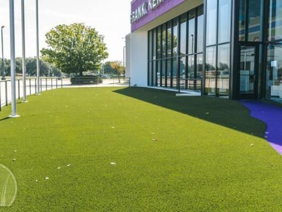 Artificial grass by glass-walled building entrance