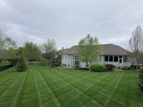 Spacious backyard with neatly trimmed grass