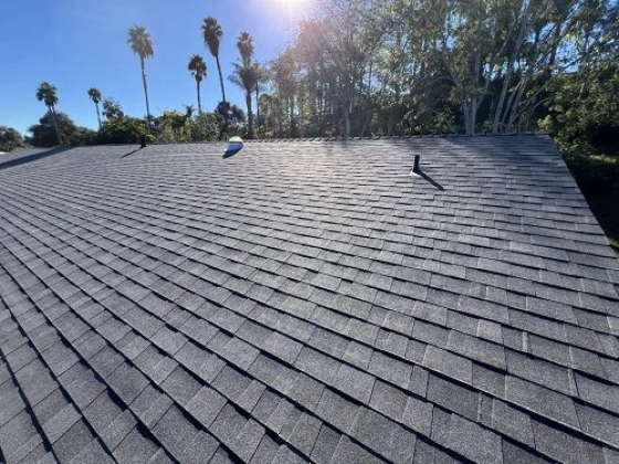 Sunny day view over a shingled rooftop with palm trees
